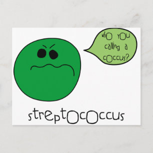 Cartão Postal Streptococcus
