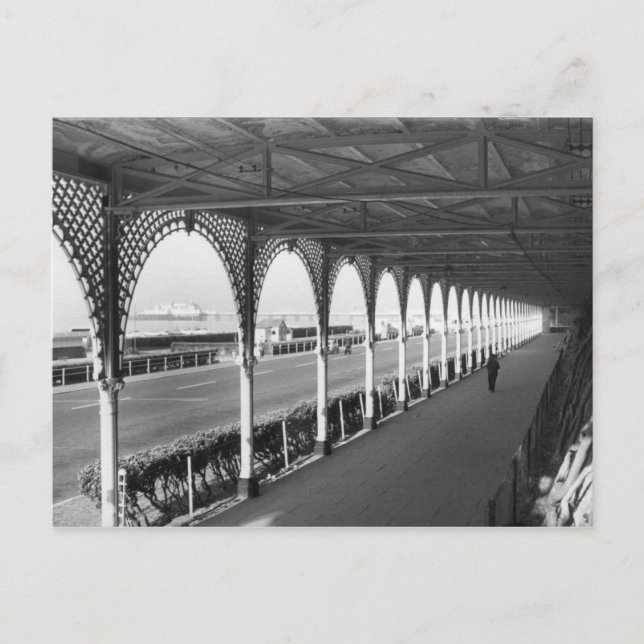 Cartão Postal Stroll de manhã cedo (Frente)