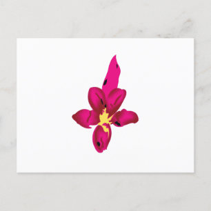 Cartão Postal Sua Férias no Bolso