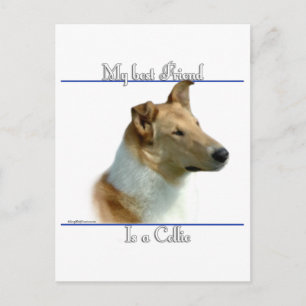 Cartão Postal Suave Collie Melhor Amigo 2