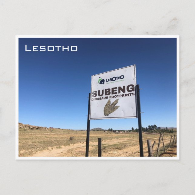 Cartão Postal subeng dinossauro (Frente)