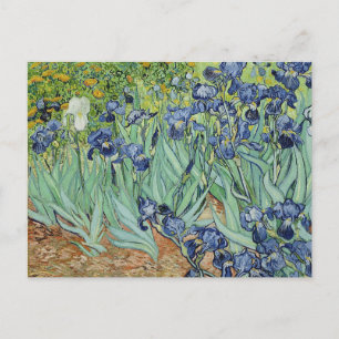Cartão Postal Subidas por Van Gogh