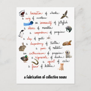 Cartão Postal Substantivos Coletivos: cartões-postais