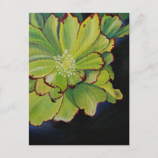 Cartão Postal Suculente
