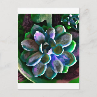 Cartão Postal Sucuss