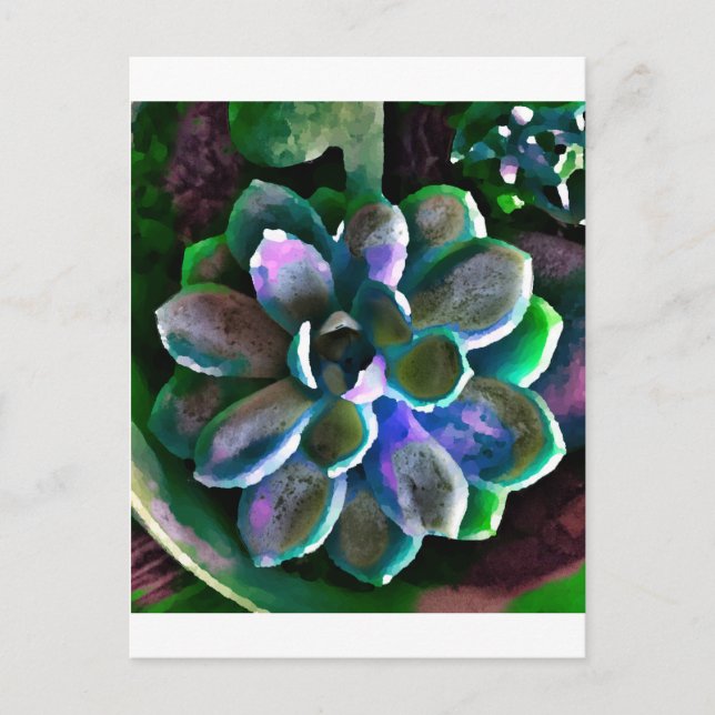 Cartão Postal Sucuss (Frente)