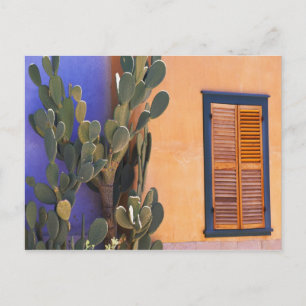 Cartão Postal Sudoeste do Cactus (Opuntia dejetta) e