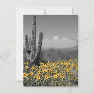 Cartão Postal Sudoeste do Deserto Saguaro Cactus e Girassóis
