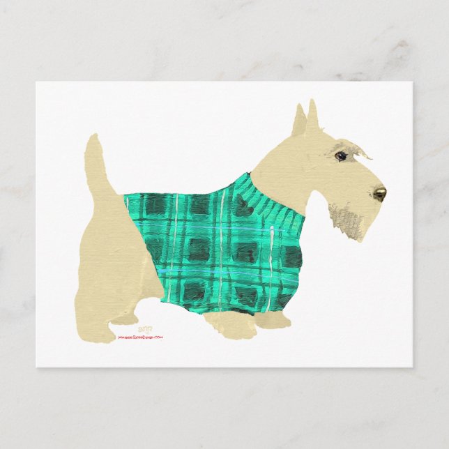 Cartão Postal Suéter de Scottish Terrier Trigo (Frente)