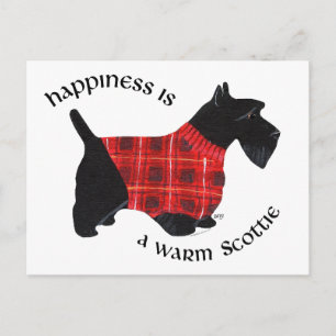 Cartão Postal Suéter Xadrez Vermelho e Preto para Scottish Terri