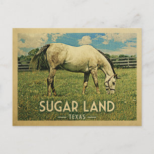 Cartão Postal Sugar Land Texas Horse Fazenda - Viagens vintage