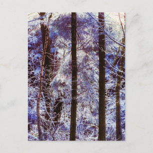 Cartão Postal Suiça da Manhã da Floresta Congelada de inverno