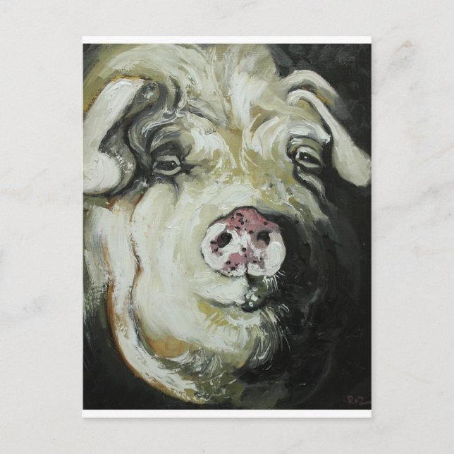 Cartão Postal Suíno nº 7 (Frente)