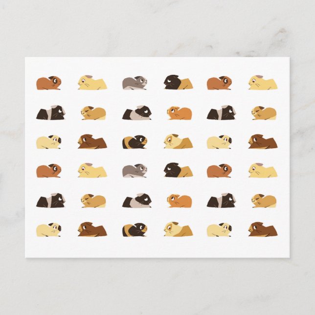 Cartão Postal Suínos (Frente)