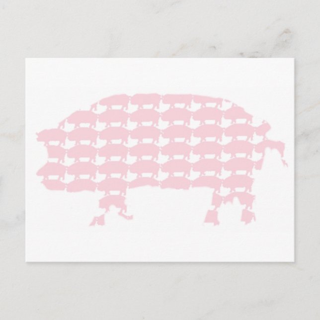 Cartão Postal Suínos (Frente)