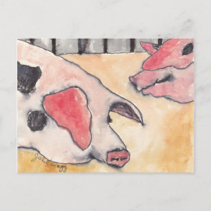 Cartão Postal Suínos na Feira do Condado