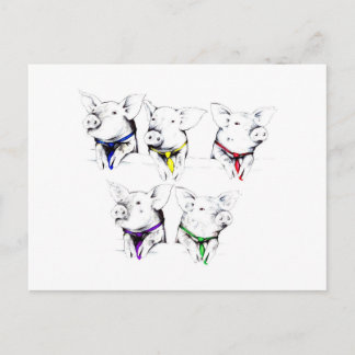 Cartão Postal Suínos Políticos (Cartão Postal)
