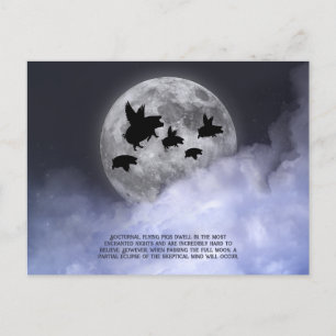 Cartão Postal Suínos voadores nocturnos