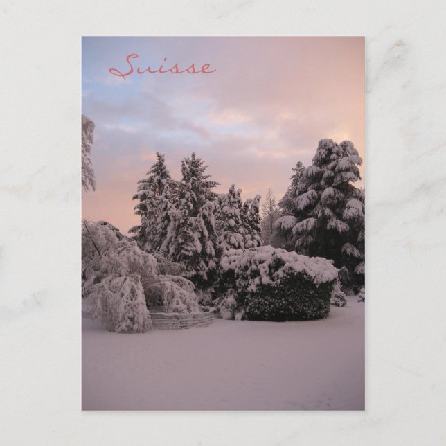 Cartão Postal Suisse (Frente)
