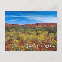 Cartão Postal Sul de Utah Wildflower