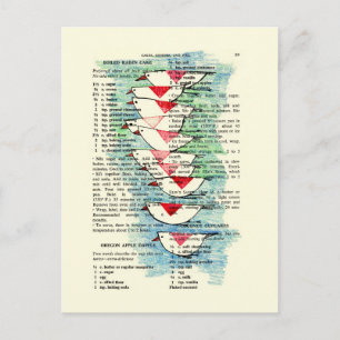 Cartão Postal Sul para o inverno