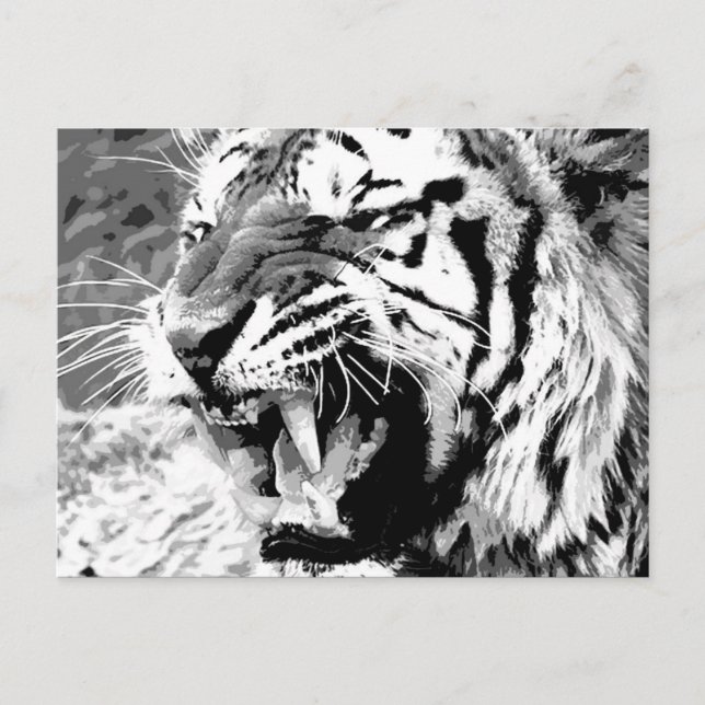 Cartão Postal Sumatran Tiger (Frente)