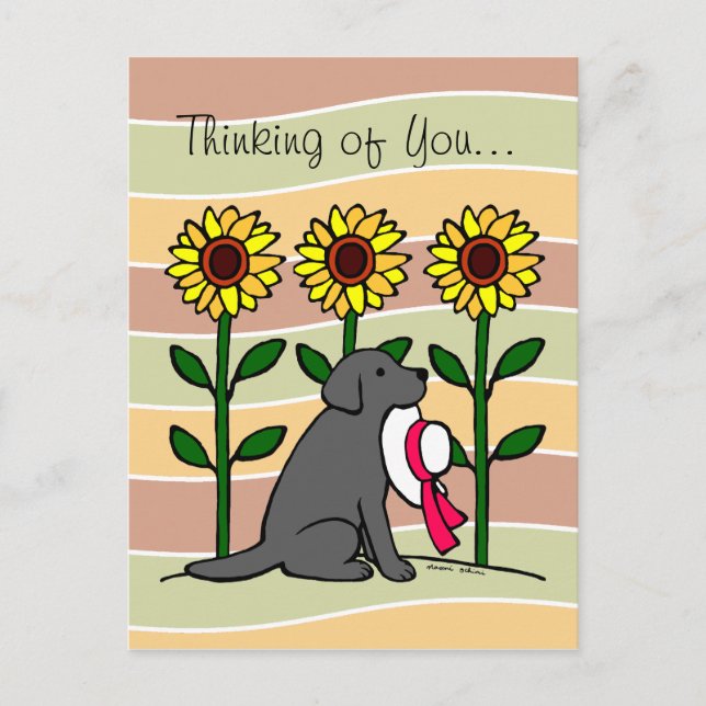 Cartão Postal Summer Black Labrador com Sunflower (Frente)