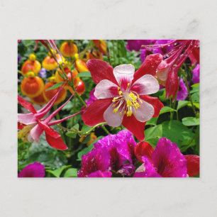 Cartão postal Summer Garden