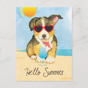 Cartão Postal Summer Pembroke Welsh Corgi