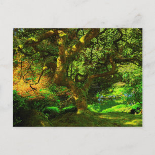 Cartão Postal Summer, Portland Japan Garden, Portland