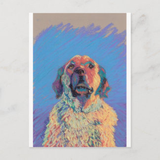 Cartão Postal Summer Sun