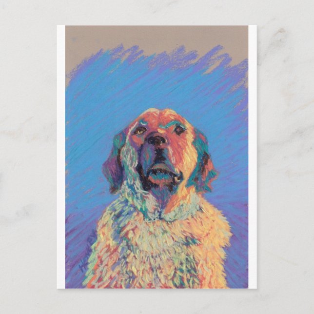 Cartão Postal Summer Sun (Frente)