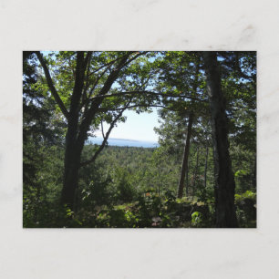 Cartão Postal Summer View no Acadia National Park