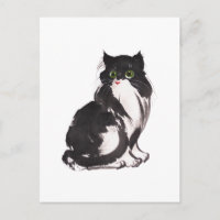 Sumo de gato preto e branco