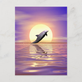 Cartão Postal Sun Dolphin