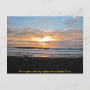 Cartão Postal Sun Sets em Snoozing Elephant Seals