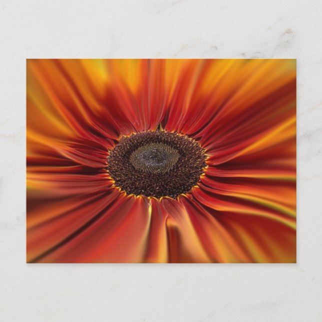 Cartão Postal Sunburst (Frente)