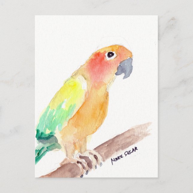 Cartão Postal sunconure2 (Frente)