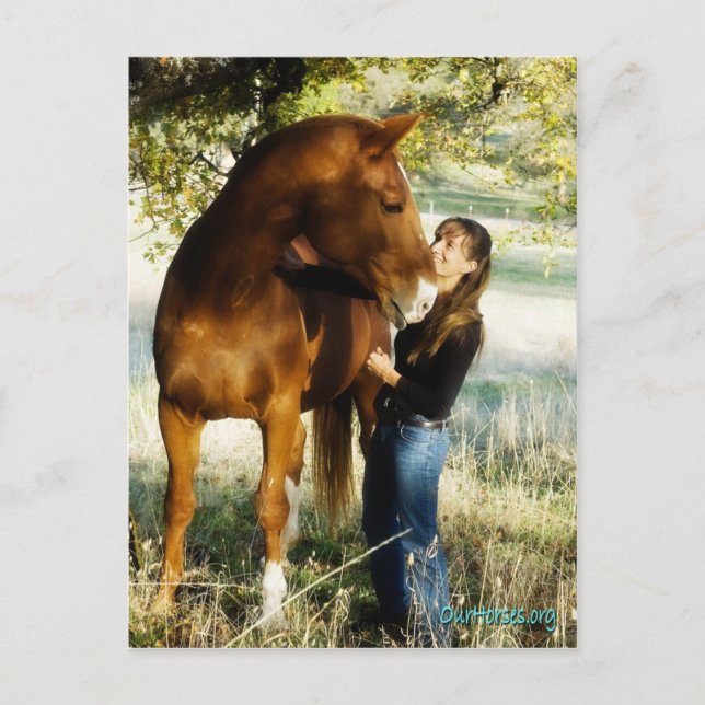 Cartão postal Sundance Stormy (Frente)