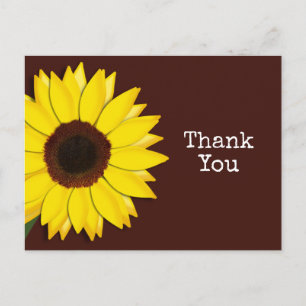 Cartão Postal Sunflower Brown Obrigado ou Qualquer Texto