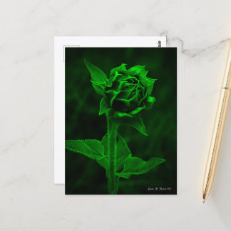 Cartão Postal "Sunflower Bud"