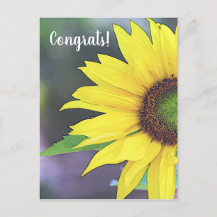 Cartão Postal Sunflower Digital Watercolor 2