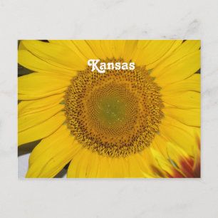 Cartão Postal Sunflower no Kansas