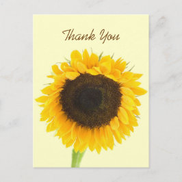 Cartão Postal Sunflower Obrigado Cartão-postal