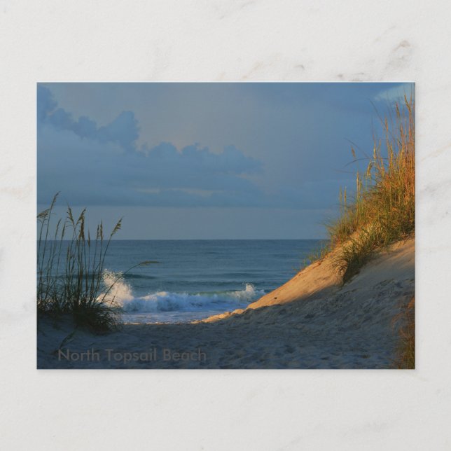 Cartão Postal 'Sunlit' (Frente)