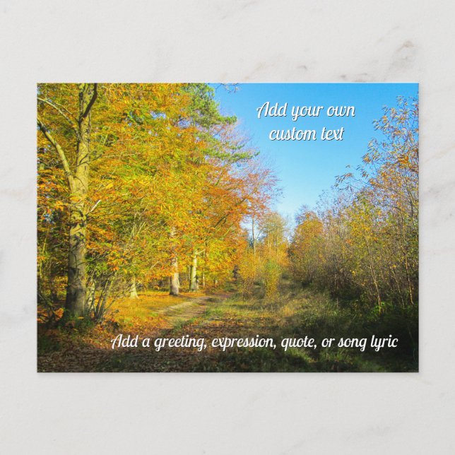 Cartão Postal Sunny Autumn Forest - Personalised (Frente)