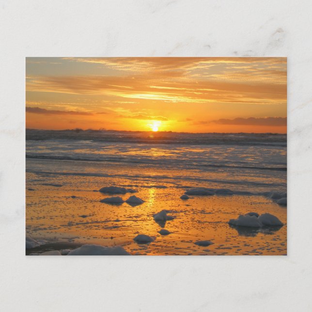 Cartão Postal Sunny Days (Frente)