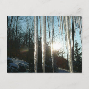 Cartão Postal Sunrise Através De Ícicletas Winter Nature Fotog