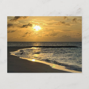 Cartão Postal Sunrise Beach