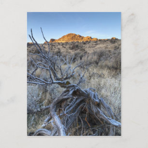 Cartão Postal Sunrise em Squaw Creek, Condado de Owyhee, ID